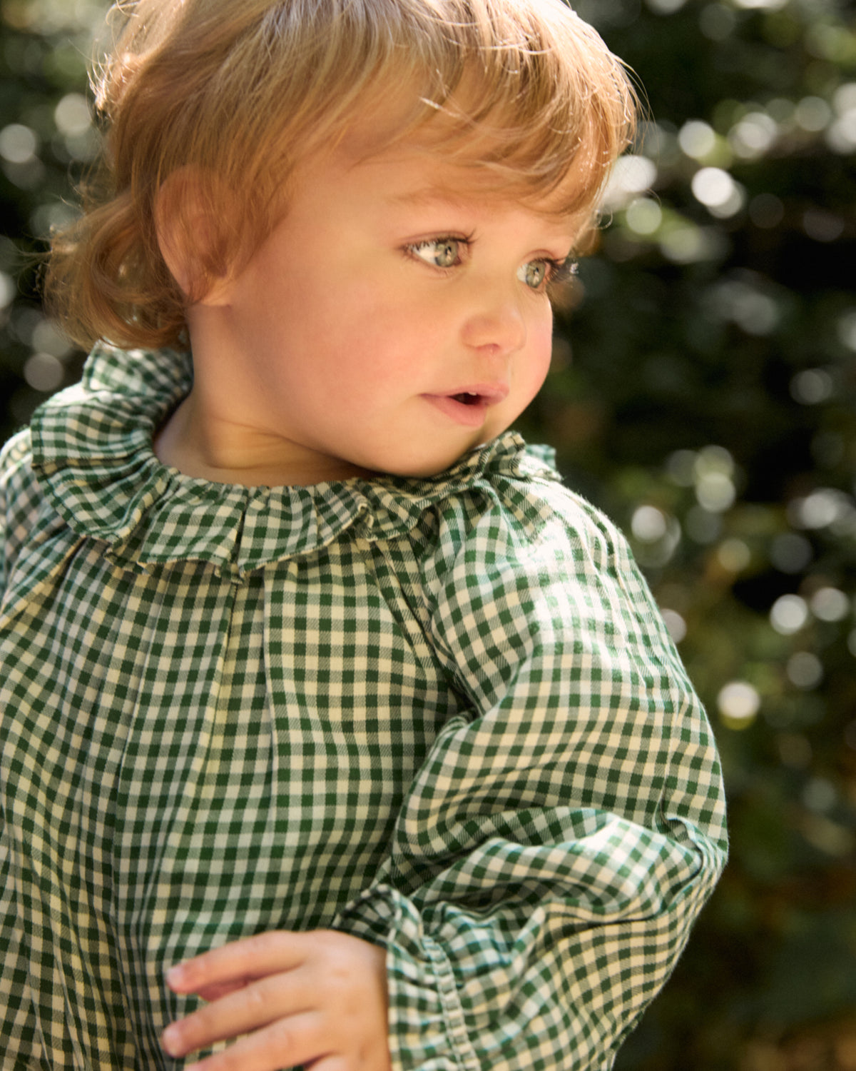 Coralie Fern Gingham