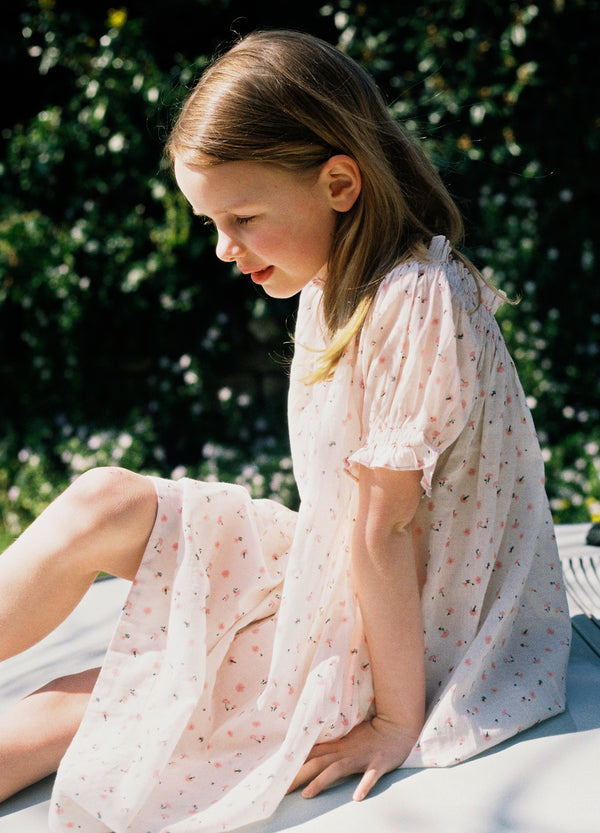 Annabel - Pink Cornflower