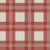 Vintage Red Gingham