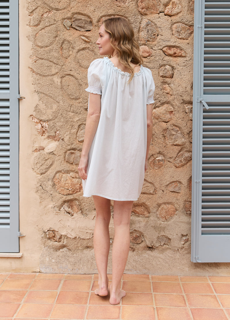 Clover - Pale Blue Gingham